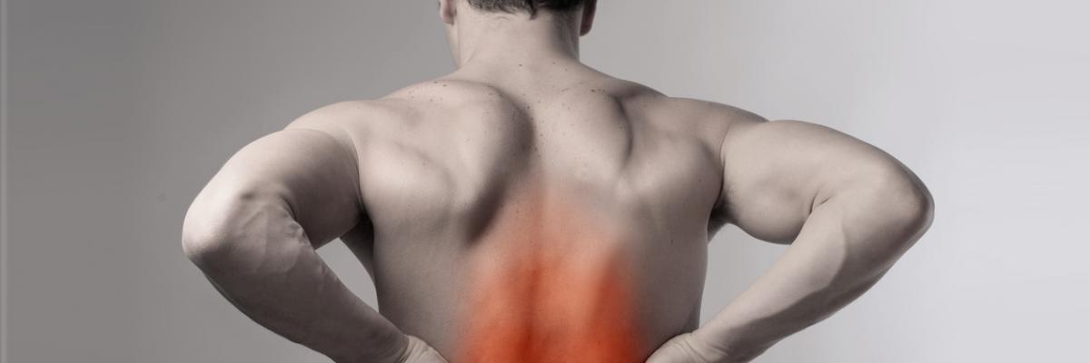 Abordaje fisioterapéutico para las hernias discales lumbares en FisioClinics Madrid